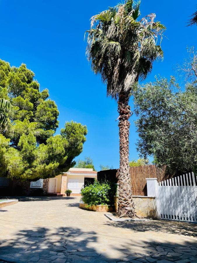 Sant Francesc de s'Estany Villa Con Piscina Gigante מראה חיצוני תמונה