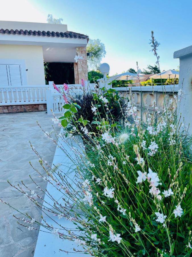 Sant Francesc de s'Estany Villa Con Piscina Gigante מראה חיצוני תמונה